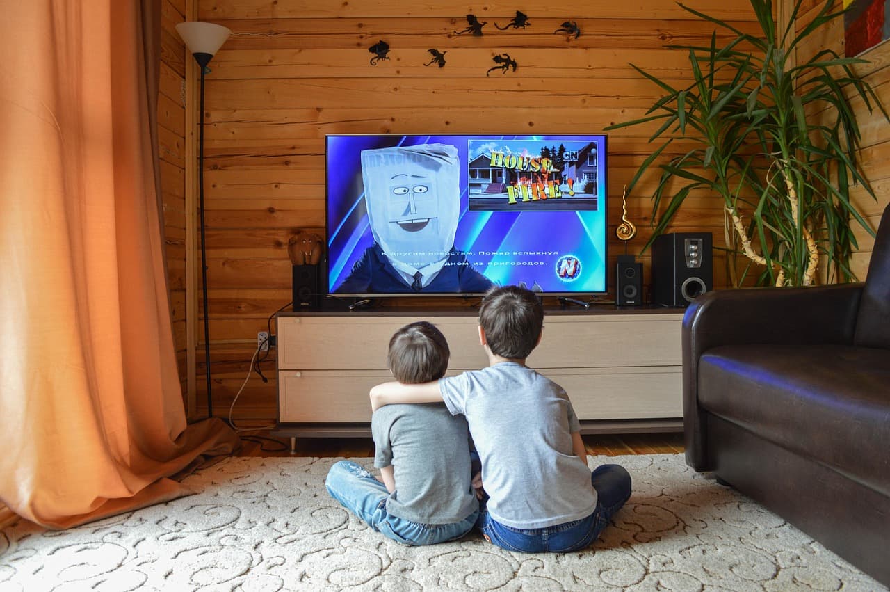 Entertainment Services